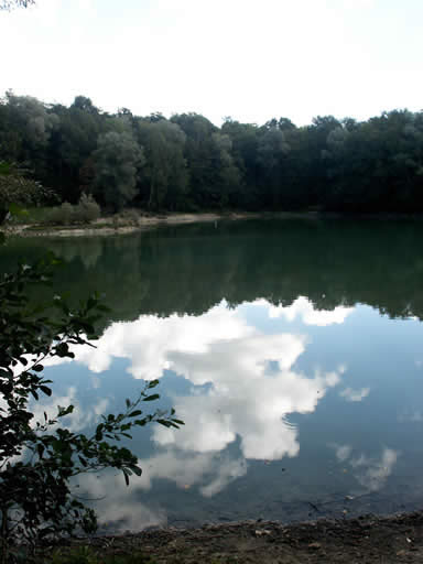 Reflections in the Lake in the Forest of Carnelle
